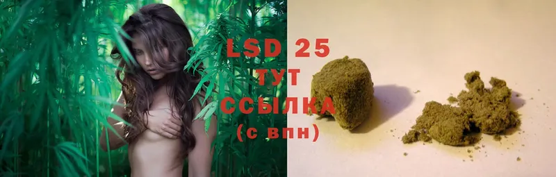 LSD-25 экстази кислота  сколько стоит  Западная Двина 